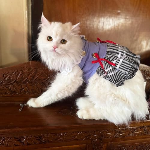 Lulala Pet Cloth Cute Pet Sundress Ribber Work Pet Princess Dress Puppy Summer Apparel Clothes Pet Skirt Shirt with Ruffles lace on Collar for Small Pets(18 Inch,Light Blue) - Image 5