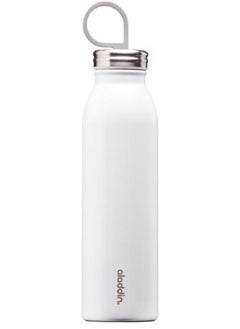 Aladdin Aladdin Chilled Thermavac Water Bottle 