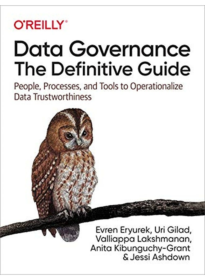 Data Governance: The Definitive Guide: People, Processes, and Tools to Operationalize Data Trustwort 