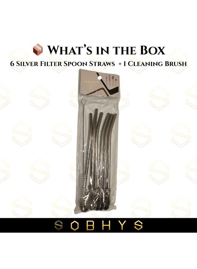 SOBHYS Premium Stainless Steel Spoon Straws Set, 304 Grade Steel, 21.5 cm Length, Rust-Resistant Filter Design, Silver, 7-Piece Set (6 Straws + Cleaning Brush), Dishwasher Safe (Silver-S-filter) – SOBHYS - Image 2