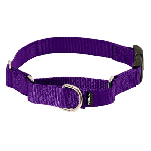 PetSafe Martingale Animal Collar with Quick Snap Buckle, 3/8" Petite, Deep Purple - Image 1