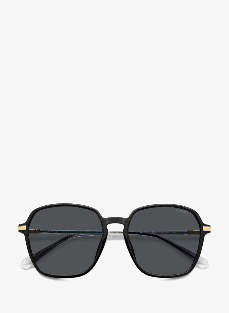 Polaroid  Wayfarers Sunglasses for Women | Best Price UAE