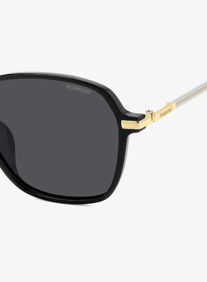 Polaroid  Wayfarers Sunglasses for Women | Best Price UAE