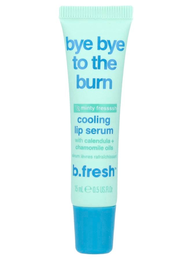 Bye Bye To The Burn Cooling Lip Serum Mint 0.5 fl oz (15 ml)