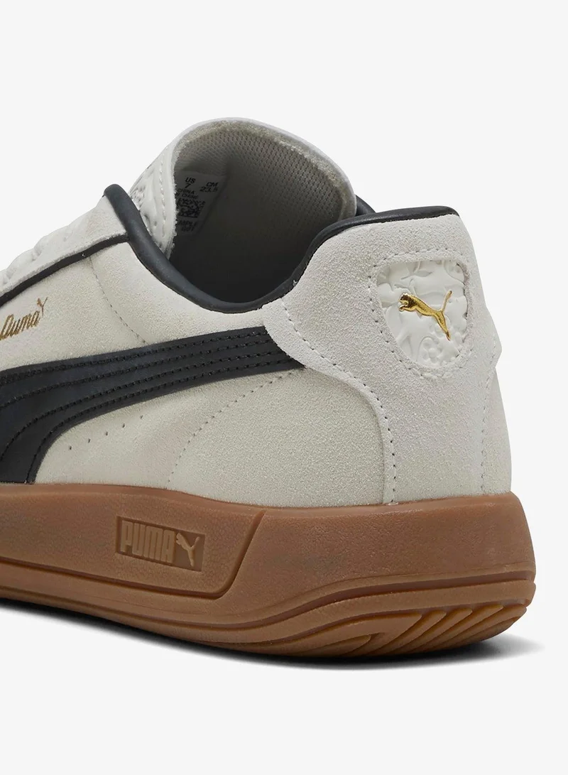Puma Warm White-PUMA Black-PUMA Gold Club Klassika Sd for Women | Best Price UAE