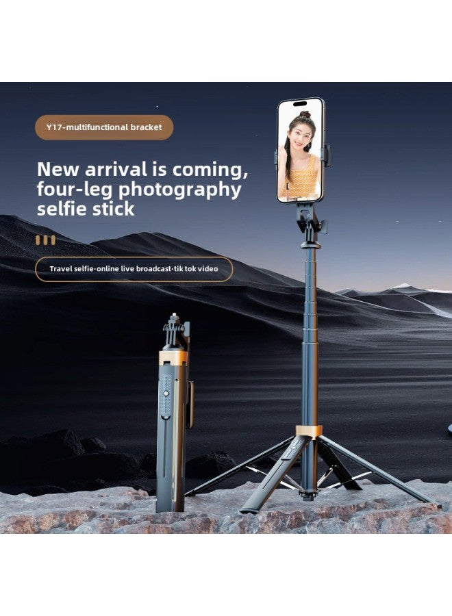 Y Sequence Mobile Phone Selfie Stick Bluetooth Selfie Mobile Phone Live Four-legged Stand Selfie Stick Manufacturers Wholesale-Color:Y17-f2 Double Round Light-white (aluminum Alloy) - Image 2