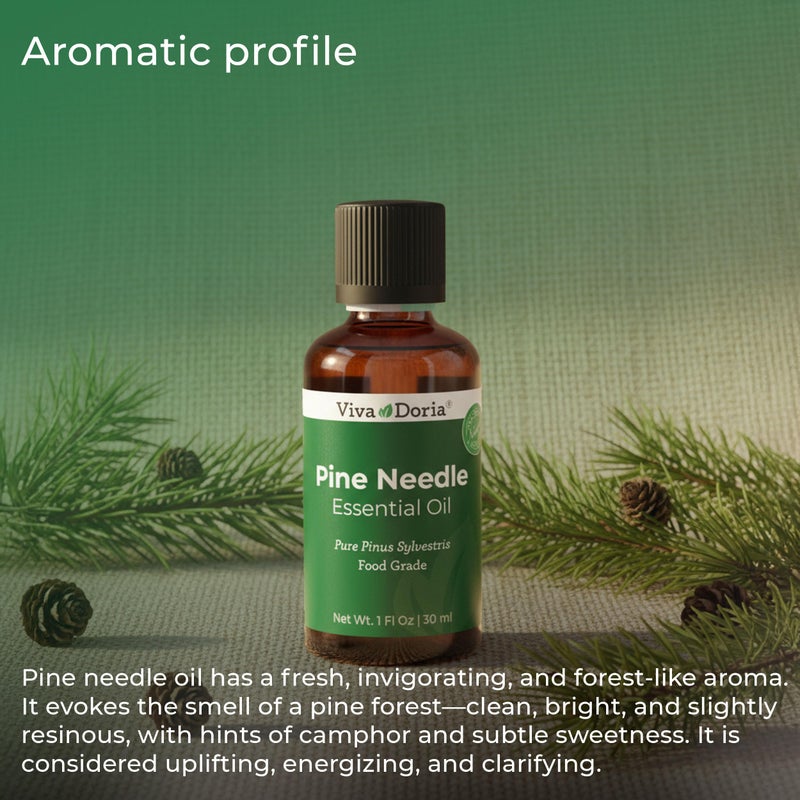 Viva Doria Pine Needle Essential Oil, 100% Pure, Natural, Pine Essential Oil, Undiluted, for Aromatherapy | Food Grade, 30 mL (1 Fluid Ounce) - Image 2