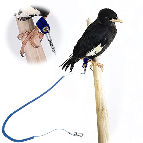 kcrygogo Parrot Bird Harness Leash Anti-bite Outdoor Blue Flying Training Rope with 5pcs Different Sizes of Soft Foot Loops and Training Whistle(Upgraded Version of Ankle Ring) - Image 3