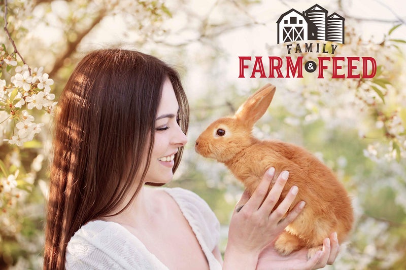 FAMILY FARM AND FEED | Alfalfa Hay Food | Small Pet | Young and Adult | Pellets | 5 Pounds - Image 4