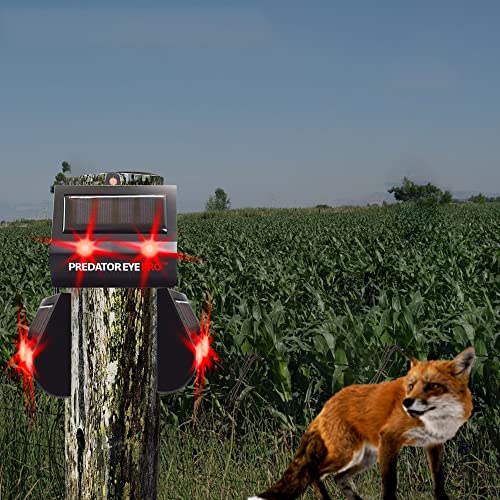 ASPECTEK Predator Eye PRO - Solar-Powered Predator Light with Kick Stand, 4600 Sq. Ft. Coverage for Night-Time Animal Control and Pest Repeller, 2 Pack - Image 5