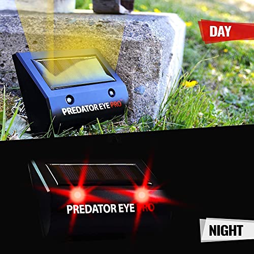 ASPECTEK Predator Eye PRO - Solar-Powered Predator Light with Kick Stand, 4600 Sq. Ft. Coverage for Night-Time Animal Control and Pest Repeller, 2 Pack - Image 2