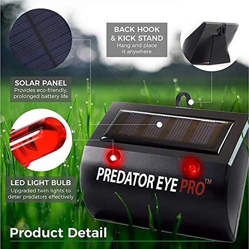 ASPECTEK Predator Eye PRO - Solar-Powered Predator Light with Kick Stand, 4600 Sq. Ft. Coverage for Night-Time Animal Control and Pest Repeller, 2 Pack - Image 3