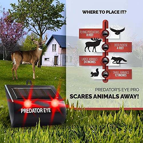ASPECTEK Predator Eye PRO - Solar-Powered Predator Light with Kick Stand, 4600 Sq. Ft. Coverage for Night-Time Animal Control and Pest Repeller, 2 Pack - Image 4