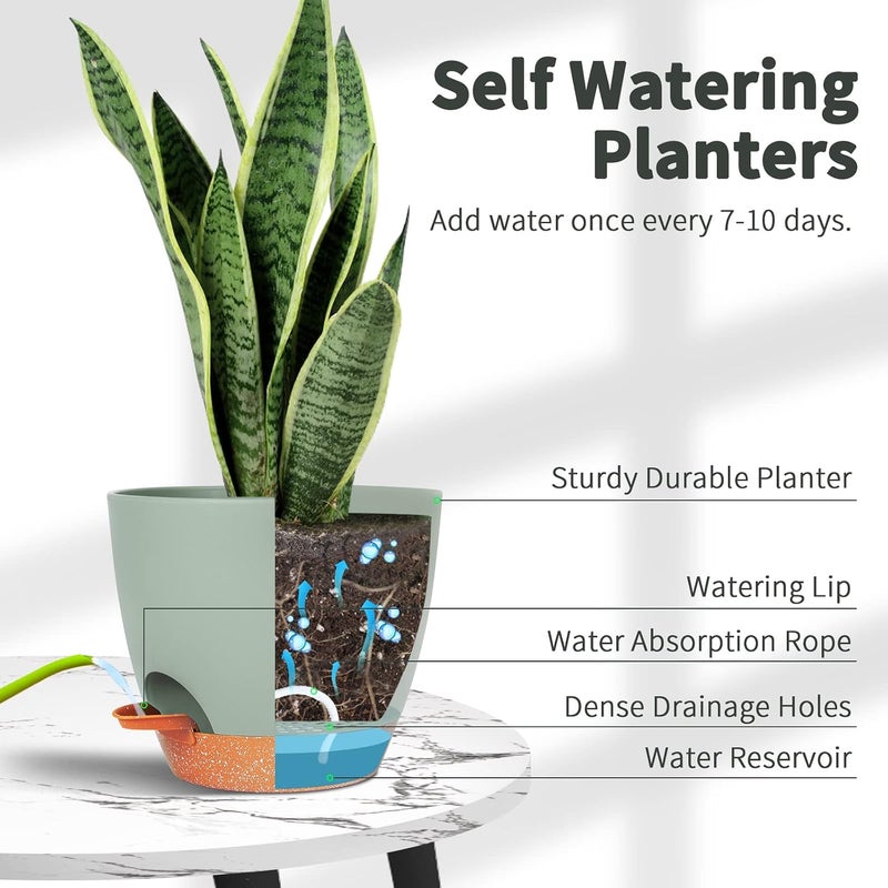 GARDIFE Plant Pots Set of 2 Pack 8 inch,Planters for Indoor Plants with Drainage Holes, Modern Decorative Flower Pots for All House Plants, Flowers, Green - Image 3