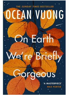 On Earth We're Briefly Gorgeous: A Novel 
