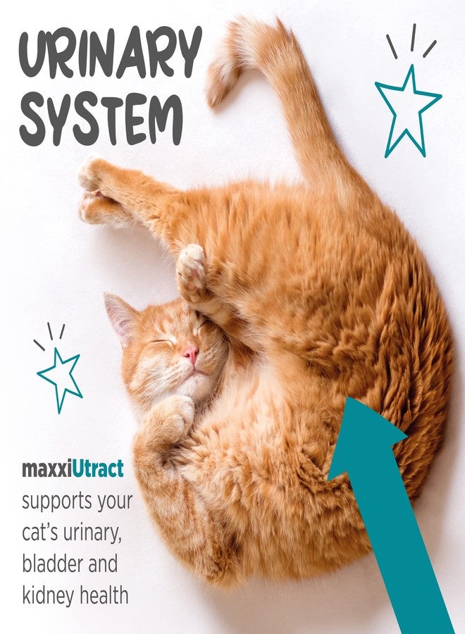 maxxipaws ماكسي باوز ماكسي يوتراكت لدعم المسالك البولية والمثانة - مكمل غذائي بودرة للقطط، 3.2 أونصة - Image 4