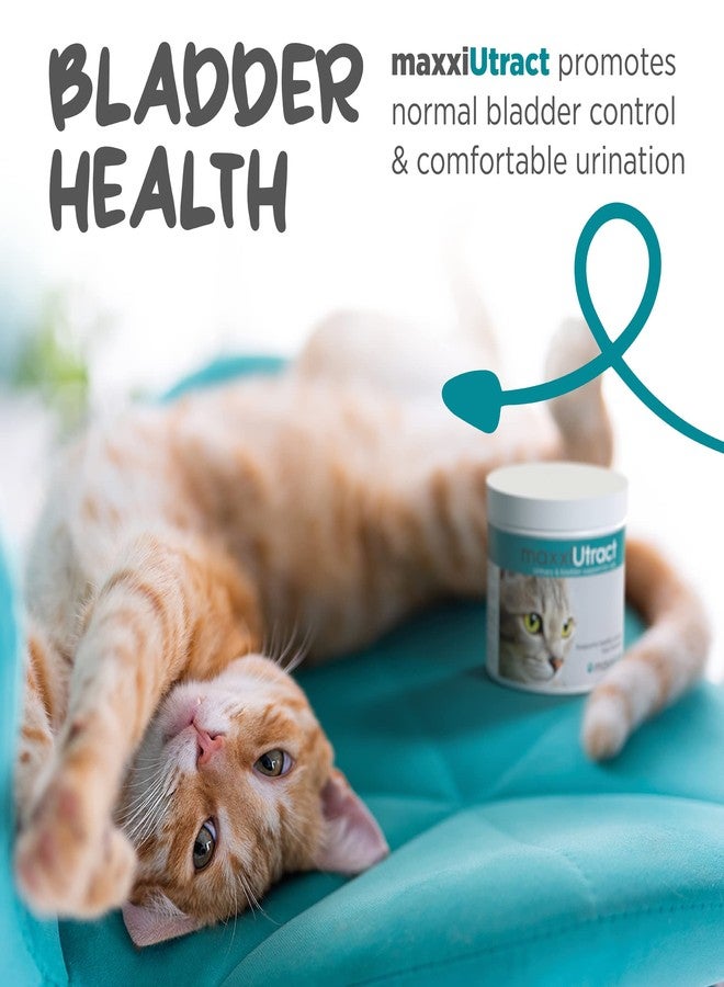 maxxipaws ماكسي باوز ماكسي يوتراكت لدعم المسالك البولية والمثانة - مكمل غذائي بودرة للقطط، 3.2 أونصة - Image 5