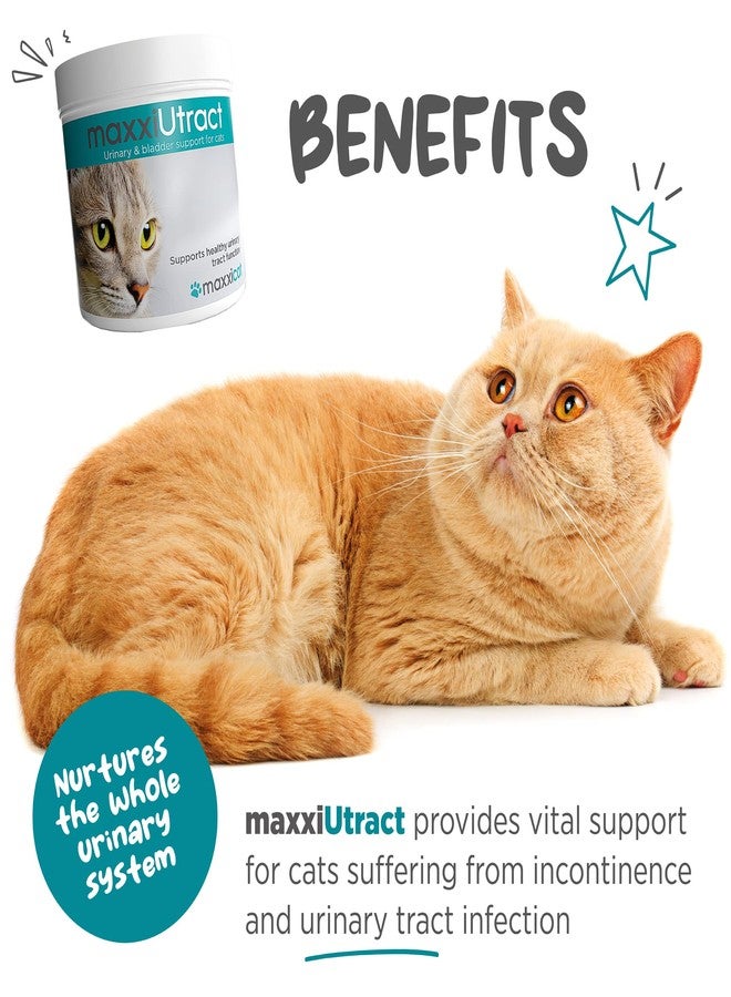 maxxipaws ماكسي باوز ماكسي يوتراكت لدعم المسالك البولية والمثانة - مكمل غذائي بودرة للقطط، 3.2 أونصة - Image 2
