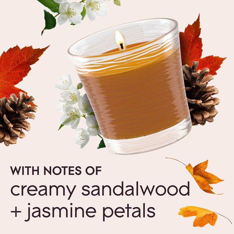 Glade 1-Wick Scented Candle Jar, Cashmere Woods, Air Freshener Infused with Essential Oils, 4.08 Oz, 2 Count - Image 5