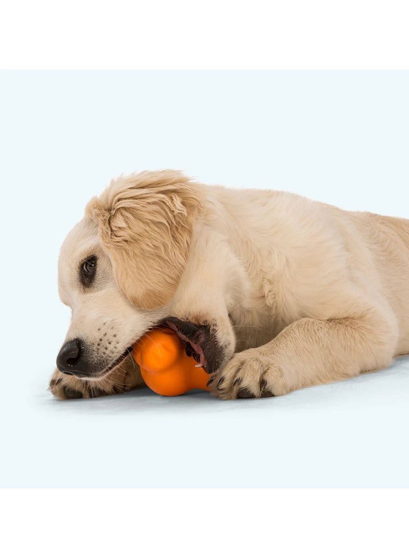 West Paw Tux Treat Toy Large  Blue - Image 3