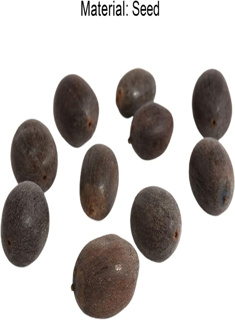 GGOOT 15Pcs Lotus Seeds Aromatic Easy to Grow Multi-Color Pots Bonsai Seedlings for Balcony - Yellow - Flower Seeds Vegetable Seeds Fruit Seeds Garden Plant Seeds for Planting  - Image 2