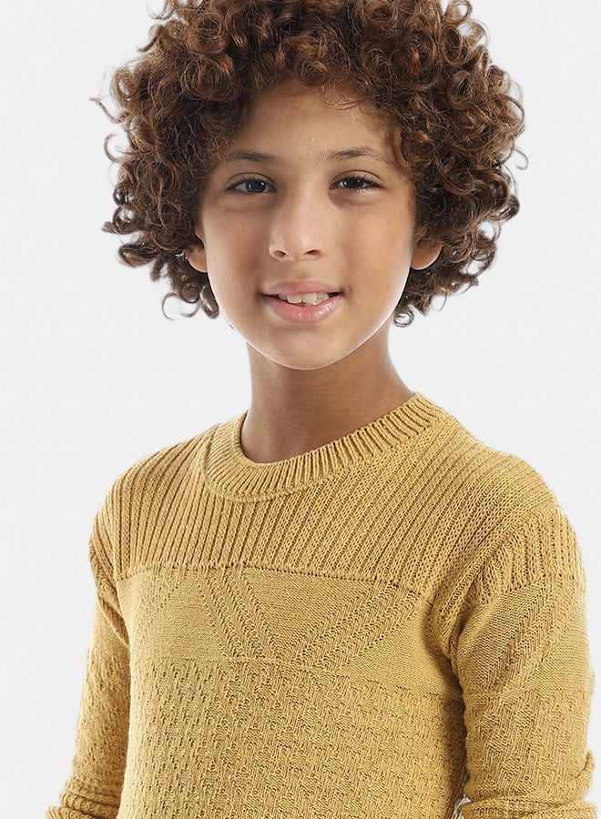 Andora Self Patterened Round Collar Long Sleeves Mustard Pullover_Mustard - Image 4