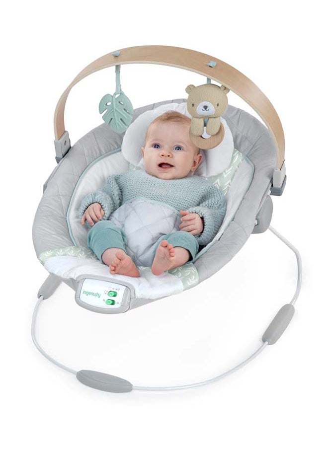 Cozy Spot Soothing Bouncer - pzsku/ZC8D2087617CBC1920745Z/45/_/1715942653/60b4e177-5d5b-4347-bfed-39507e5e0add