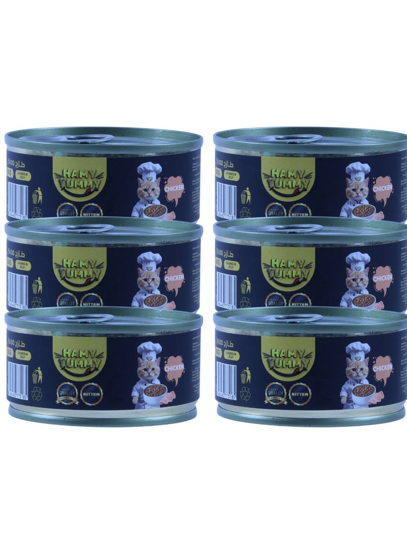 HAMY YUMMY Cat Kitten Wet Food - Chicken Flavor - 6x85g - Turkish Made  - Image 1