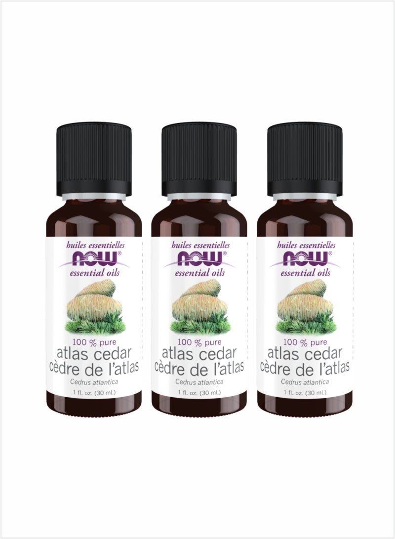 Pure Atlas Cedar Essential Oil - Aromatherapy Blend, 30ml (Pack of 3)
