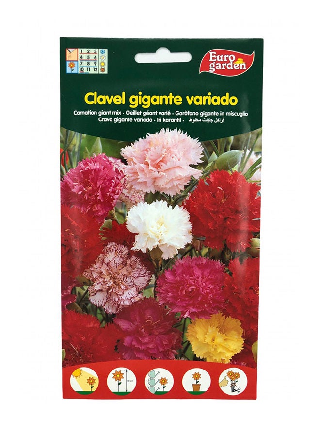 Euro Garden مزيج القرنفل العملاق من يورو جاردن - Image 2