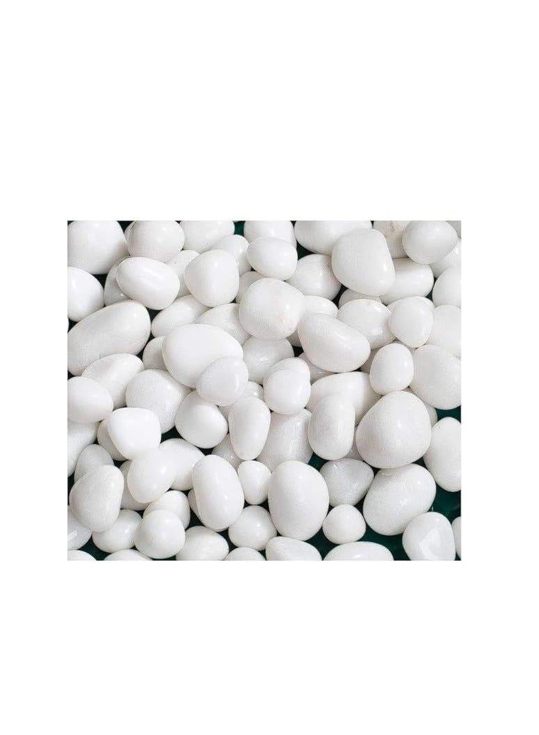 Schmick 1 Kg Polished White Pebbles Stones for Plant pots, Aquarium/Fish Tank, Decorations, Garden, Tables, and Home Decor (1 Kg, White Stone)