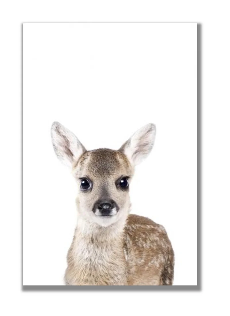 Drawdeck Baby Deer
