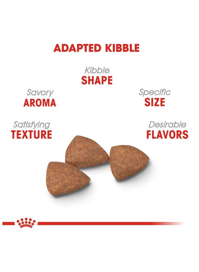 رويال كانين طعام جاف للكلاب الصغيرة البالغة للاستخدام الداخلي، كيس 2.5 رطل - Image 3