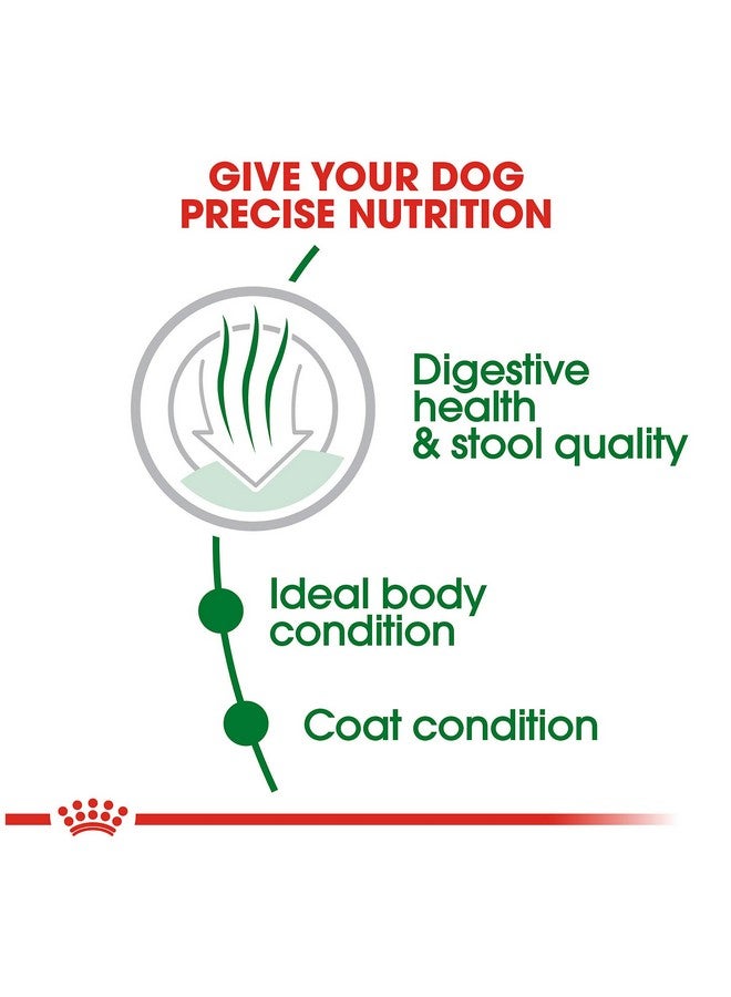 رويال كانين طعام جاف للكلاب الصغيرة البالغة للاستخدام الداخلي، كيس 2.5 رطل - Image 4