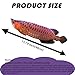 XiRiDa 157 Fish Stuffed Animal Realistic Fish Plush Cute Toy Gifts for Kids Adults - Image 4