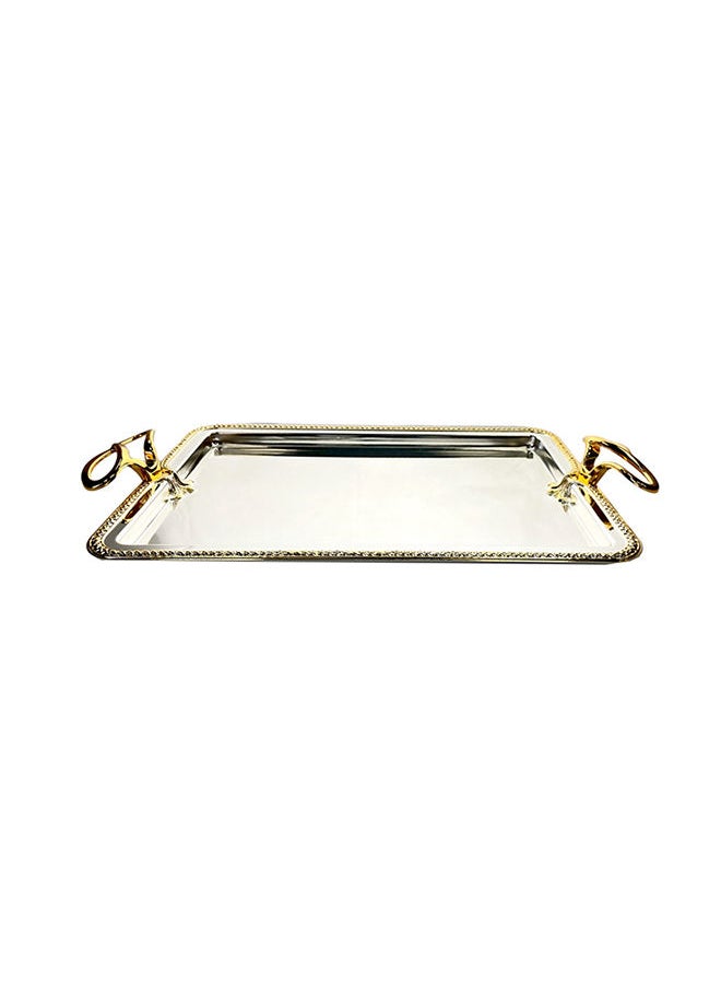 Silverplated 2 Piece Extra Large And Large Sizes Rectangle Tray Set - pzsku/ZC8DD3B5951D57E2915F5Z/45/_/1649920663/306cdd02-0ef3-423c-b277-524baeaceb67