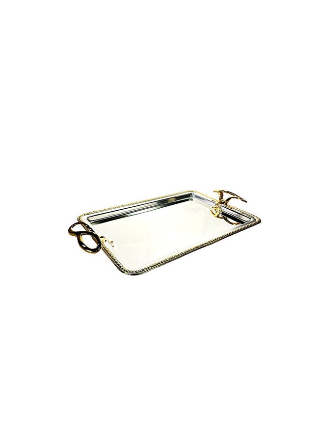 Silverplated 2 Piece Extra Large And Large Sizes Rectangle Tray Set - pzsku/ZC8DD3B5951D57E2915F5Z/45/_/1649920663/be2848d4-bef9-4837-9c79-297d3c0d228b