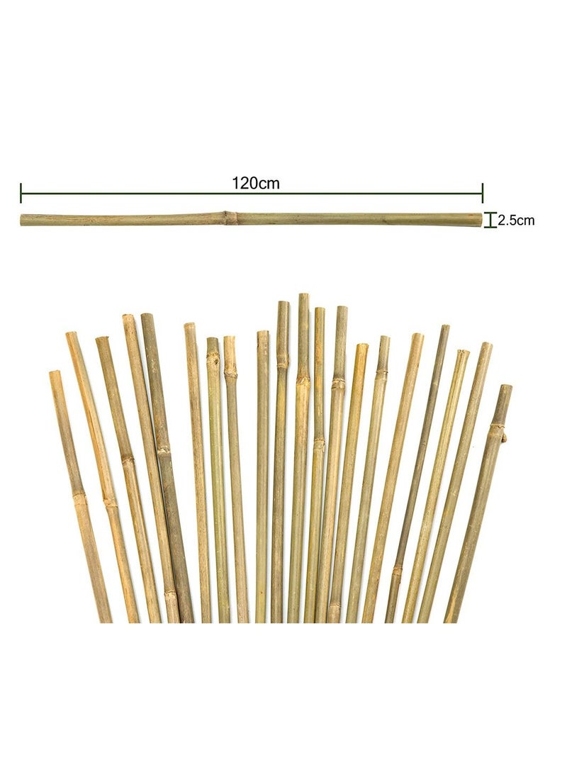 LINGWEI - 6 pcs Plant Stakes Natural Garden Bamboo Sticks For Indoor And Outdoor Plants - Image 1
