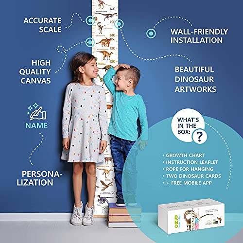 LIFELIKO Personalised Growth Chart for Dinosaur Lovers, Removable Wall Ruler for Boys and Girls, Kid’s Room Decoration (White) - Image 3