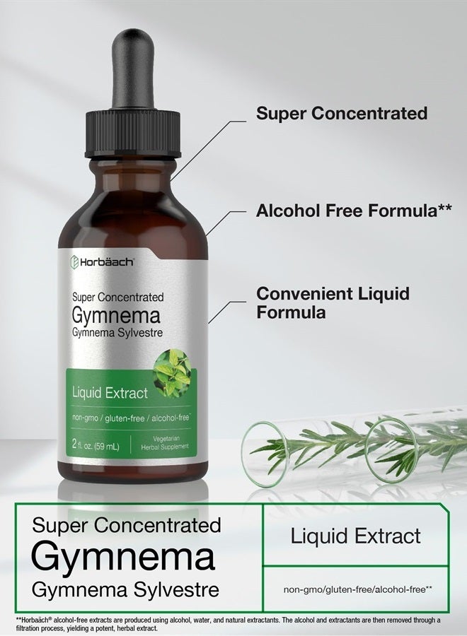 Horbäach Gymnema Sylvestre Liquid | 2 fl oz | Alcohol Free | Super Concentrated Gymnema Leaf Extract Drops | Vegetarian, Non-GMO, Gluten Free Supplement | by Horbaach - Image 3