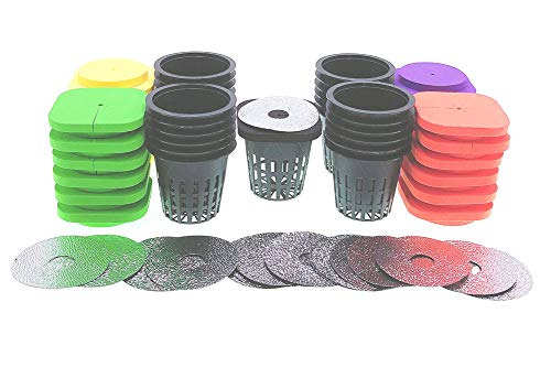 HORTIPOTS 2-Layered Clone Collars w 2 in Net Pots & Reflective Lids, Replacement for 24-Sited DWC Cutting Clone & Seedling Root System (4-Colored Pack of 25) - Image 1