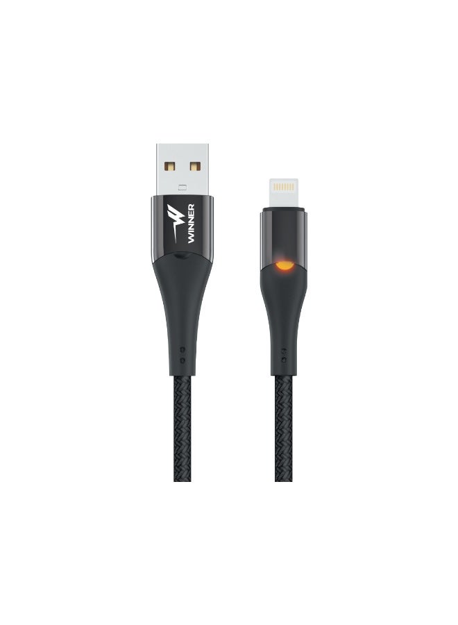 WE WINNER Winner USB-Lightning cable for charging and data transfer - Image 1