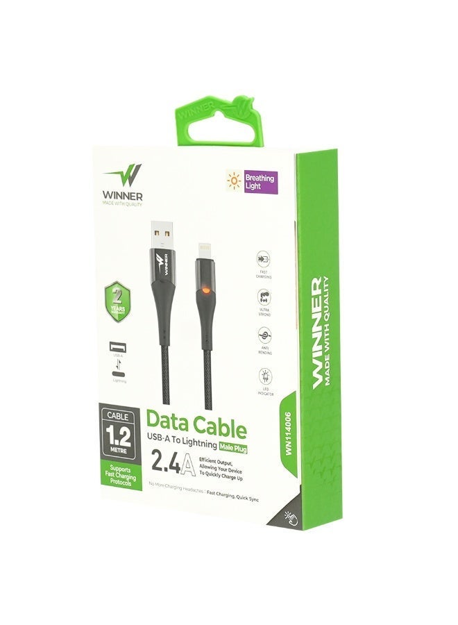 WE WINNER Winner USB-Lightning cable for charging and data transfer - Image 4