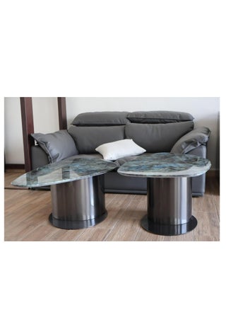 Kasinda Marble Top Coffee Tables Set, Stainless Steel Frame, Set of 2 Tables - C619 - pzsku/ZC8E3C77E90ED37226A8DZ/45/_/1722265281/449a8d9f-cca9-4581-9ade-d2f5f9f2fdc4