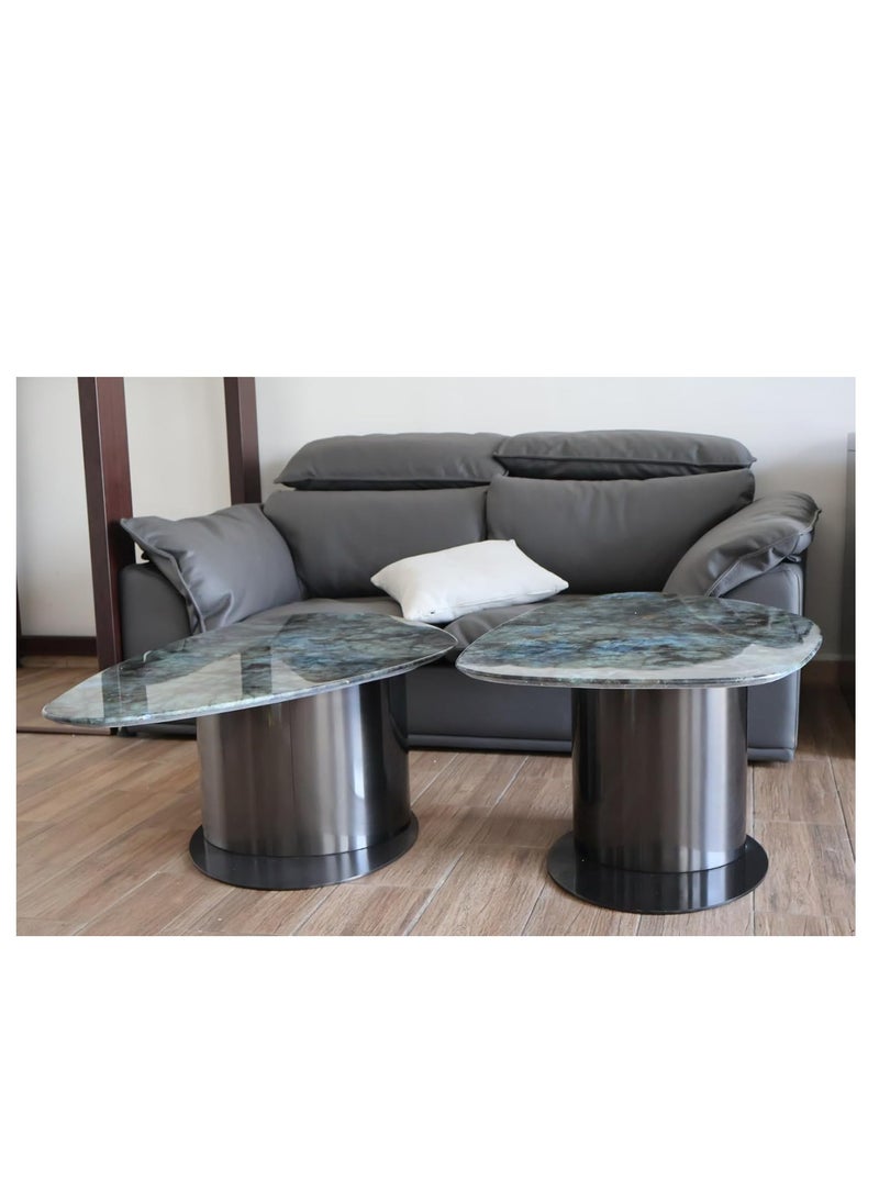 Kasinda Marble Top Coffee Tables Set, Stainless Steel Frame, Set of 2 Tables - C619