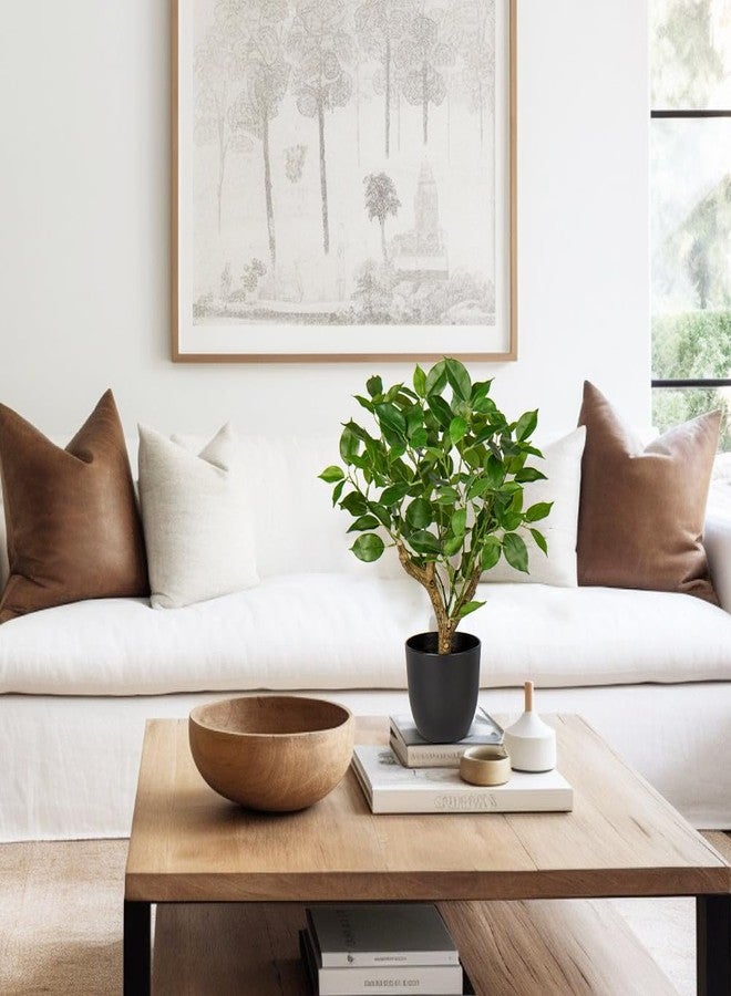 GnFlus Artificial Tree, 17'' Ficus Bonsai, Premium Faux Planted Potted Decor for Home Table Office Desk Bathroom Bedroom Living Room Farmhouse - Image 3