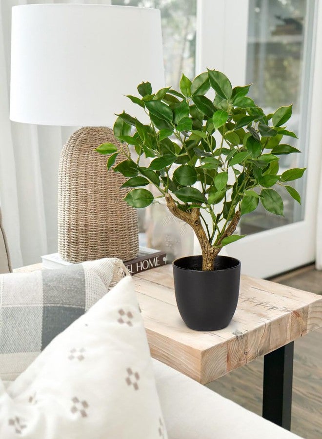 GnFlus Artificial Tree, 17'' Ficus Bonsai, Premium Faux Planted Potted Decor for Home Table Office Desk Bathroom Bedroom Living Room Farmhouse - Image 5