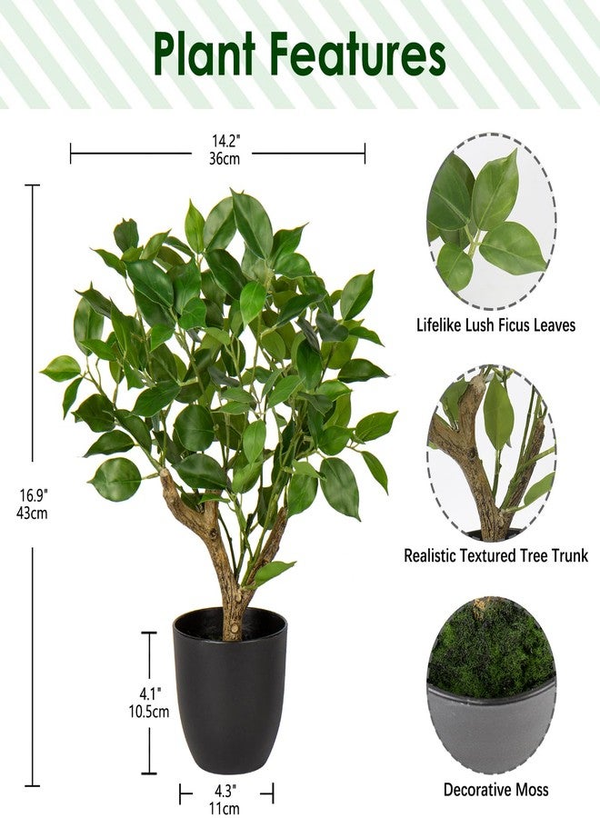 GnFlus Artificial Tree, 17'' Ficus Bonsai, Premium Faux Planted Potted Decor for Home Table Office Desk Bathroom Bedroom Living Room Farmhouse - Image 2