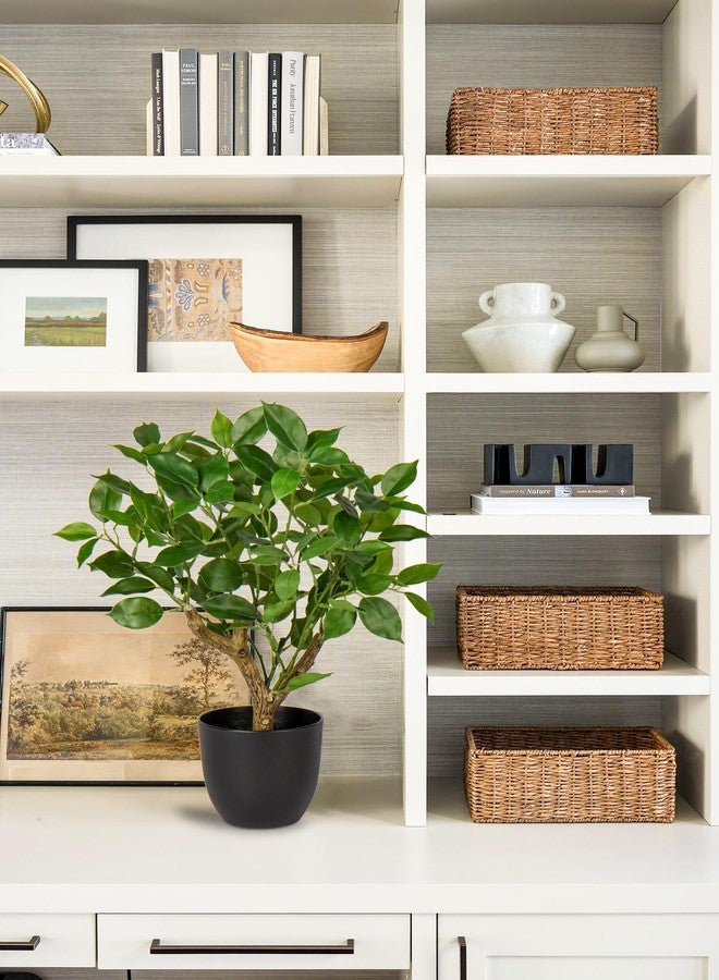 GnFlus Artificial Tree, 17'' Ficus Bonsai, Premium Faux Planted Potted Decor for Home Table Office Desk Bathroom Bedroom Living Room Farmhouse - Image 4