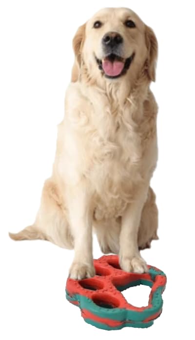 swacch Spitz Dog Shampoo + Paw Shape I Rubber Dog Toy for Training and Interactive I Durable & Safe I Combo Pack I 3 Litre Lemon - Image 3